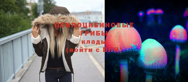 герыч Пересвет