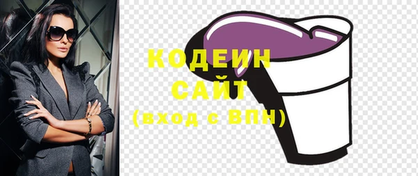 шишки Покачи