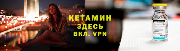 шишки Покачи