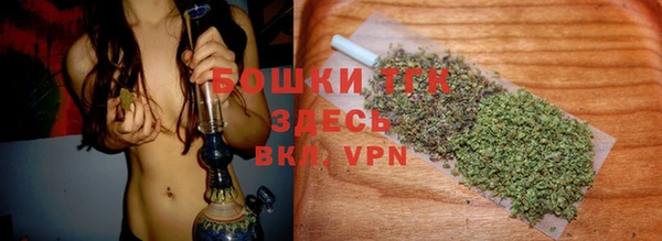 дмт Пестово